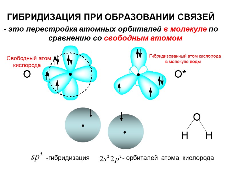 О О* О Н      Н ГИБРИДИЗАЦИЯ ПРИ ОБРАЗОВАНИИ СВЯЗЕЙ